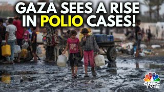 Israeli Intransigence Is Leading To A Rise In Polio Cases In Gaza Egyptian Foreign Minister  N18G [upl. by Saree]