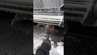 Nettoyage satisfaisant pot d’échappement carcleaning detailing satisfyingvideo [upl. by Anemolihp]