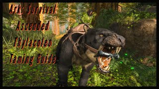 Thylacoleo Taming Guide  Ark Survival Ascended [upl. by Ayeka731]