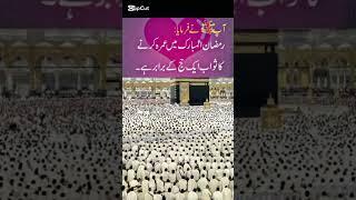 UMRAH IN RAMAZAN SHAREEF رمضان المبارک میں عمرے کا ثواب HAJJ UMRAH SPECIAL SHORTS YOUTUBE SHORTS [upl. by Nilcaj273]