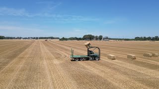 Shadybrook Farms Wheat Harvest 2024  Dover Delaware [upl. by Levina]