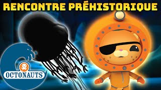 Octonauts  🪨 Rencontre préhistorique 🛠️  Compilation  Dessins animés pour enfants [upl. by Melia]