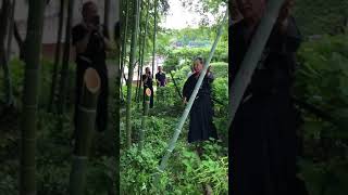 The power of Japanese swordsKATANA／【神業】孟宗竹を一刀両断！ 日本拳法空手道 katana japan samurai japão [upl. by Las666]