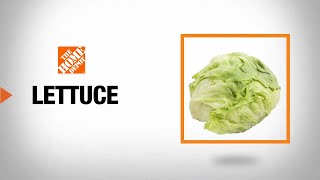 Types of Lettuce  The Home Depot [upl. by Ailam]