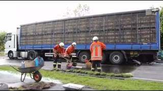 Unfall auf der B401 400 Tiere verenden [upl. by Grannias737]