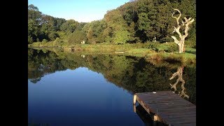 Another visit to Knitsley Mill Trout Fishery [upl. by Bridwell]