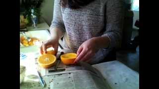 DIY Orange Bird Feeder [upl. by Stephi]