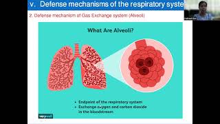 Respiratory System Defense Mechanism and Examination [upl. by Laicram]