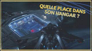 Petite expérience du Hangar du RSI Polaris  Star Citizen [upl. by Nawj344]