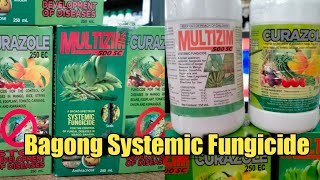 Ito Pala Ang Bagong Systemic Fungicide Multizim 500SC amp Curazole 250EC [upl. by Jeanie]