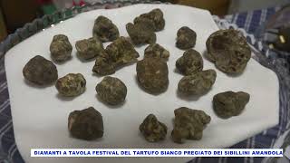 quotDiamanti a Tavolaquot Amandola  Festival del Tartufo Bianco Pregiato dei Monti Sibillini [upl. by Relyt177]