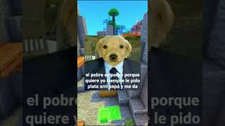 Memes De Perritos 3 [upl. by Urias]