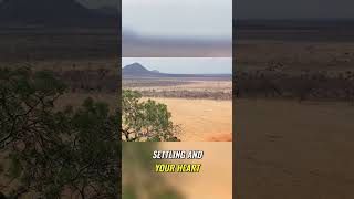 Unforgettable Wildlife Encounters in Tsavo East National Park [upl. by Ahsiuq]