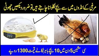 New Technology Egg hatching Machine for Home Review specifications details in urdu hindi [upl. by Elleiand288]