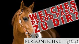 ❤️️ Welches Pferd passt zu dir Persönlichkeitstest ❤️️ [upl. by Alejna23]