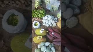 Vipani vegetables pathanamthittadistrict [upl. by Arlin603]