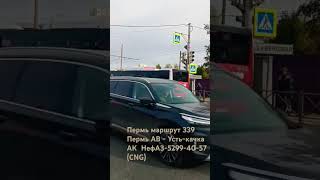 Пермь  Маршрут 339  Пермь АВ  УстьКачка АК  НефАЗ52994057 CNG  28092024  Школа 107 [upl. by Euqinemod676]