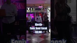 Menadzer 0653718370 Djordje amp Fenix Band Cacak Bendovi Za Svadbe Paracin wwwfenixbandcacakcom [upl. by Sackville]