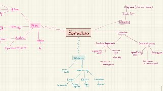 Bartonellosis Cat scratch disease and more  Bloodstream Infections  2nd year MBBS  Microbiology [upl. by Drawyeh]