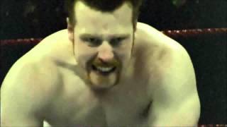 Sheamus Theme Song  Written In My Face With Titantron 2013 [upl. by Baniaz]