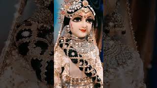 Meri vinti yahi hai Radha rani shortvideo radherahde youtubeshort shortsvideo status story [upl. by Ardnat]