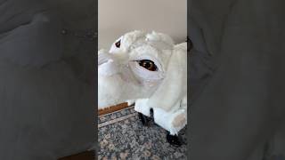 Falkor luckdragon halloween2024 homemadecostume wfhalloween chadwickstudios neverendingstory [upl. by Orling148]