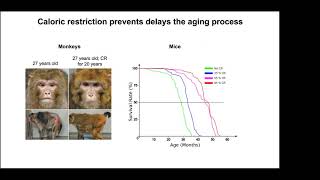 AgeRelated Metabolic Changes Drive Tumor Progression [upl. by Nere]