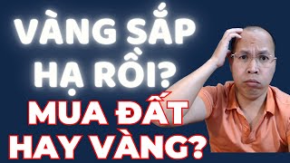 Ô tô sắp sửa rẻ như xe máy [upl. by Eissehc514]