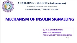 Insulin signalling pathway [upl. by Niwrek15]