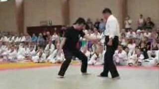 Europe Hapkido JJK Championship 2007 [upl. by Kinna510]