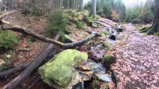 Feldberg Wanderung Von Parkplatz Große Kurve zum Fuchstanz [upl. by Hamid747]