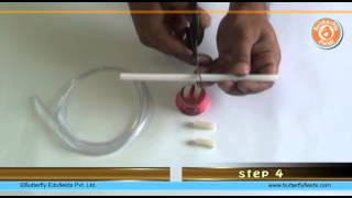 Make a stethoscope amp check your heartbeat  School Science Projects  Butterfly Fields [upl. by Asoral201]