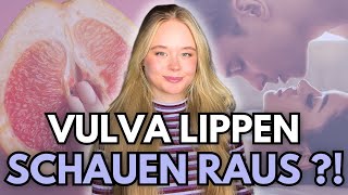 Ja deine Vulva ist normal [upl. by Leahcym414]