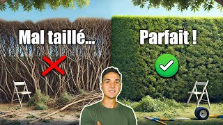 Comment Tailler et Ramasser une Haie FACILEMENT TOUTES mes Astuces de Pro [upl. by Einolem357]