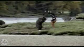 Man fights Bear over Salmon  John West [upl. by Ahsilla]