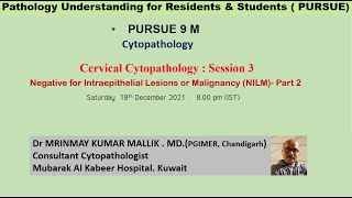 Pursue 9M Cervical Cytopathology Negative for Intraepithelial Lesions or Malignancy NILM Part 2 [upl. by Leiahtan]