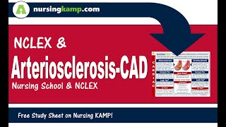 Nursing KAMPs Scribble Notes Cardiovascular Disease Arteriosclerosis CAD [upl. by Carrillo]