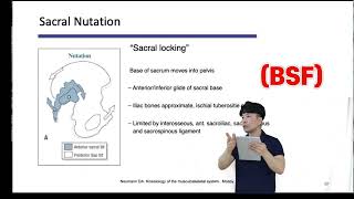 골반이해하기 26편 Nutation 골반숙이기 [upl. by Yerffoeg]