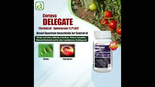 Top Insecticide for Controlling Pests ThripsLeafMinerwhitefly [upl. by Damalus]