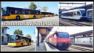 Postautos und Züge beim Bahnhof Weinfelden Kanton Thurgau Schweiz 2021 [upl. by Rocker]