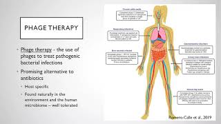 Advances in phage therapy of Mycobacterial infections [upl. by Creedon]