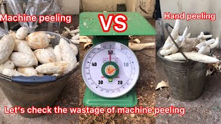 Check out wastage of cassava peeling machine and hand peeling [upl. by Baum]