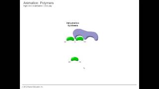 Dehydration Synthesis and Hydrolysis [upl. by Otecina]