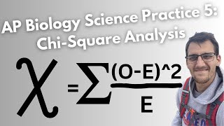 AP Biology Exam Prep  Chi square Analysis [upl. by Pierre]