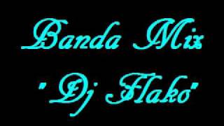 Banda Ms Mix 2010 [upl. by Ahsatal]