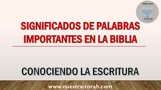 SIGNIFICADOS DE PALABRAS IMPORTANTES EN LA BIBLIA con subtítulos [upl. by Belda]