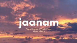 Jaanam  Vicky Kaushal amp Triptii Dimri amp Vishal Mishra Lyrics Lyric Loom badnewz hindisong [upl. by Nojed873]