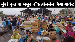 Sassoon Dock Fish Market Mumbai Ka Sabse Sasta fish market price update2023 sassoondock fishmarket [upl. by Siul]