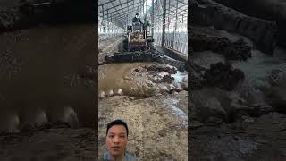 How to make biogas from the farm agriculture farming automobile animals technology knowledge [upl. by Reyaht826]