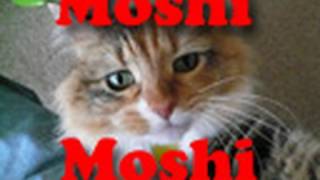 Why Japanese Say Moshi Moshi on the Telephone [upl. by Nywg497]